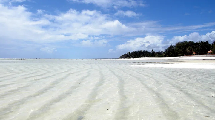 Playa de Paje durante la marea baja, Zanzíbar